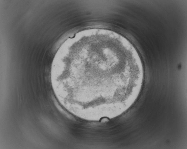 X0000115661433200912241349