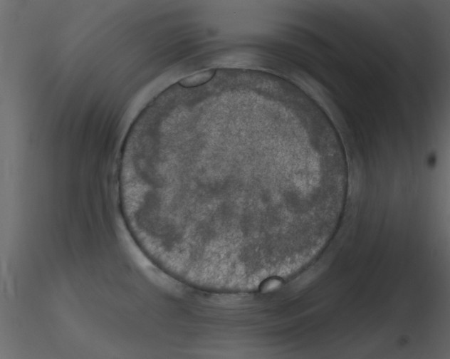 X0000115661434200912241349