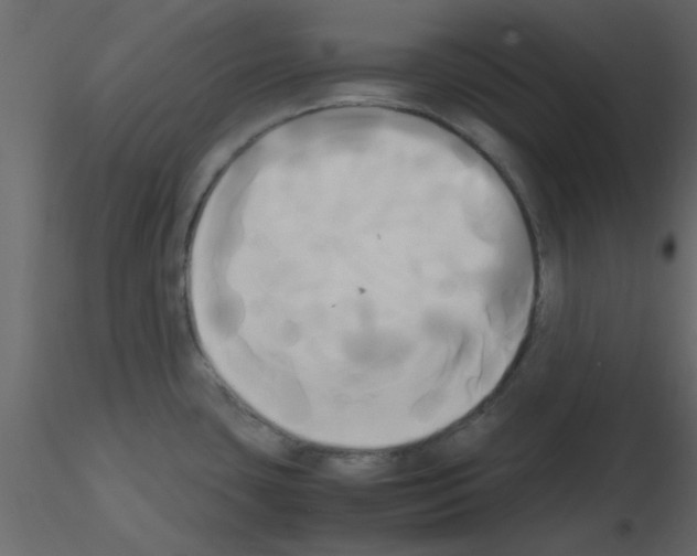 X0000115661435200912241349