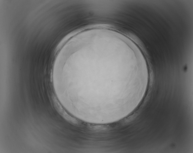 X0000115661436200912241349