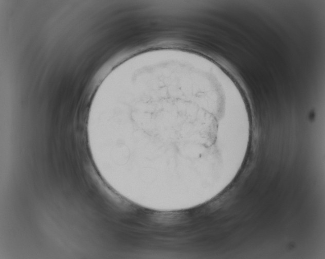 X0000115661437200912241349