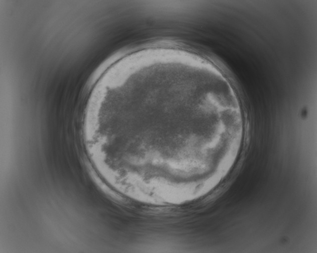 X0000115661438200912241349