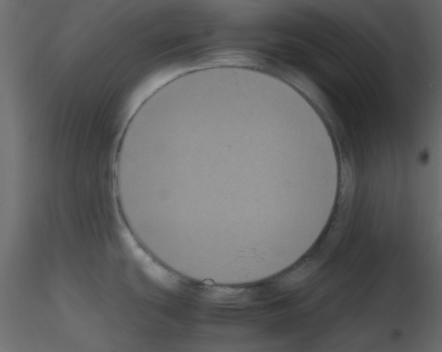 X0000115661439200912241349