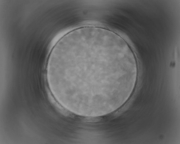 X0000115661440200912241349