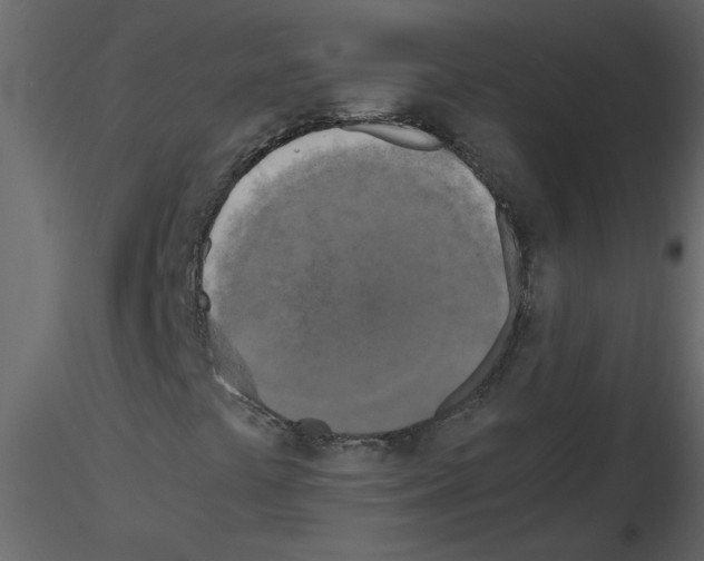 X0000115661441200912241349