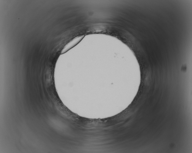 X0000115661442200912241349