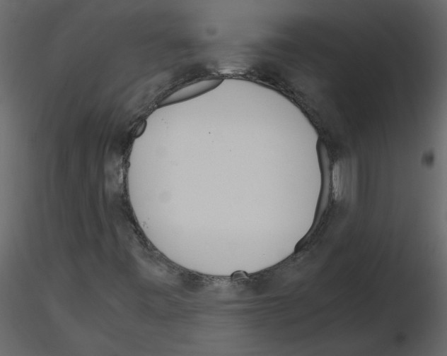 X0000115661443200912241349