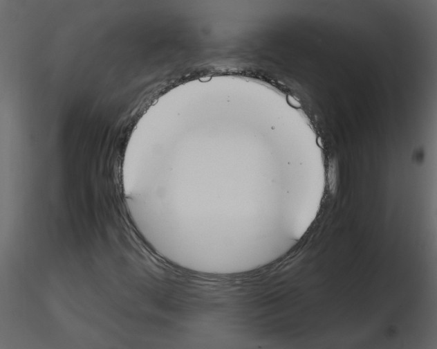 X0000115661444200912241349