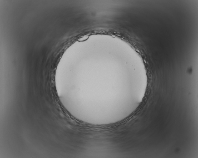 X0000115661445200912241349