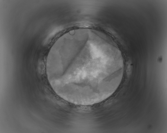 X0000115661446200912241349