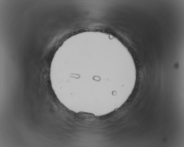 X0000115661447200912241349