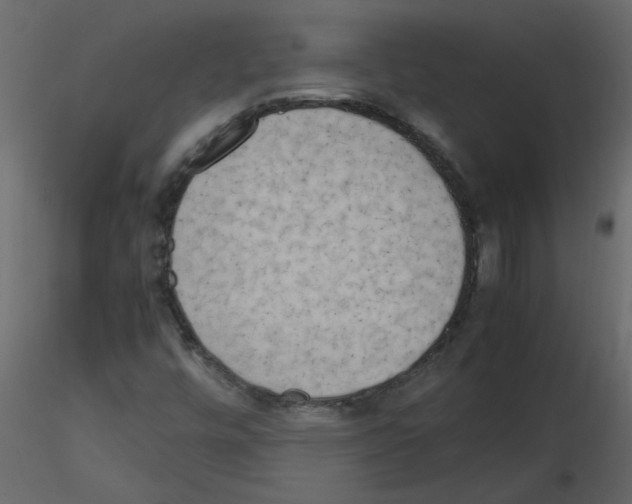 X0000115661448200912241349