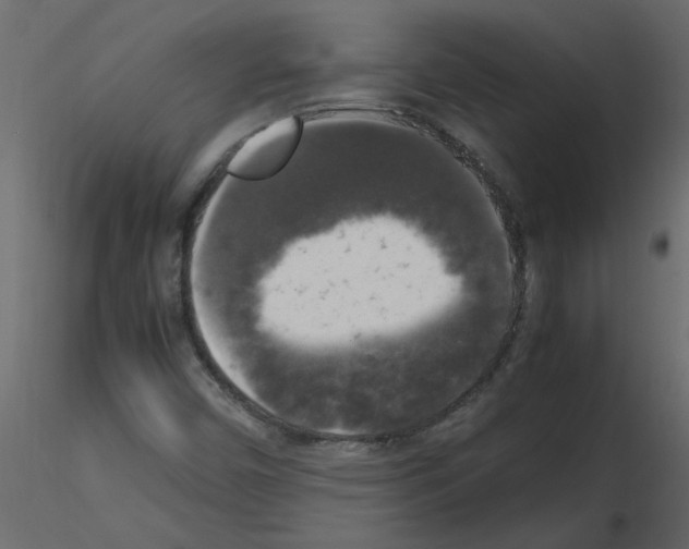 X0000115661450200912241349