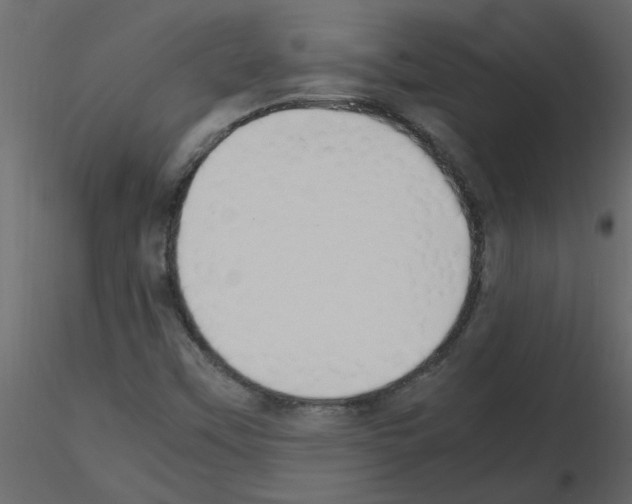 X0000115661451200912241349