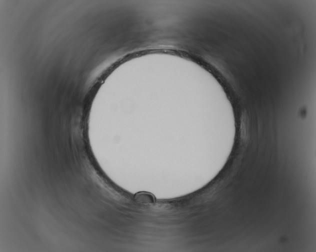 X0000115661452200912241349