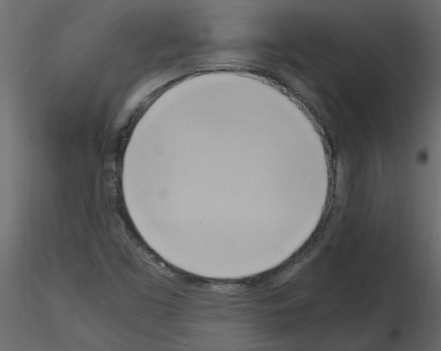 X0000115661453200912241349