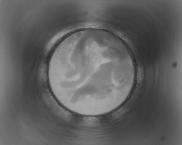 X0000115661454200912241349