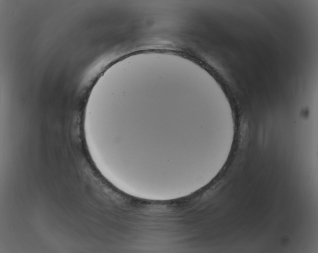 X0000115661455200912241349