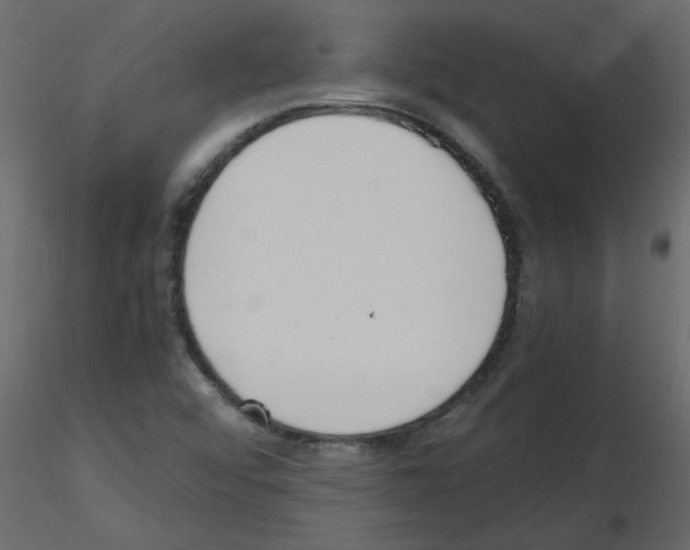 X0000115661456200912241349