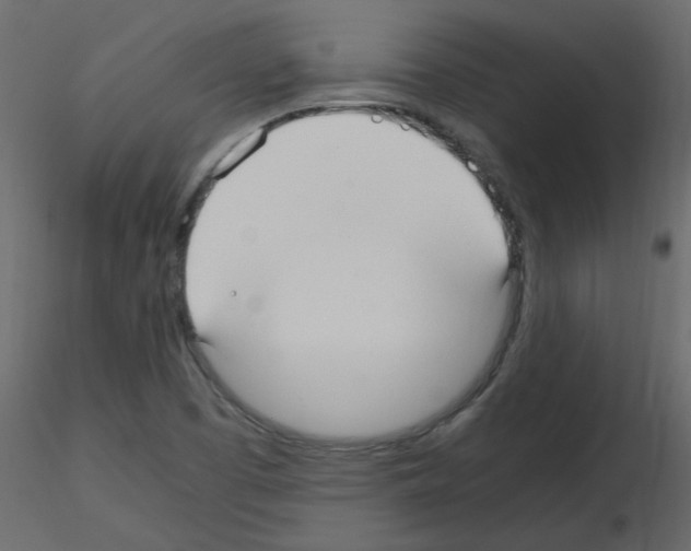 X0000115661457200912241349