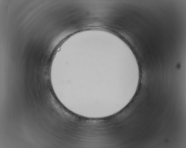 X0000115661458200912241349