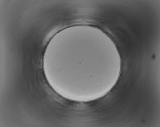 X0000115661459200912241349