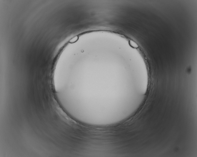 X0000115661460200912241349