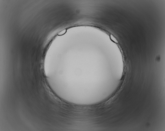 X0000115661461200912241349