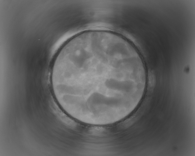 X0000115661462200912241349