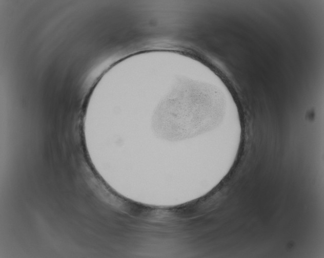 X0000115661463200912241348