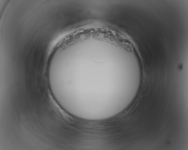 X0000115661464200912241348