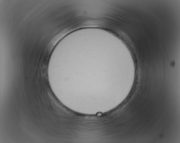 X0000115661465200912241348