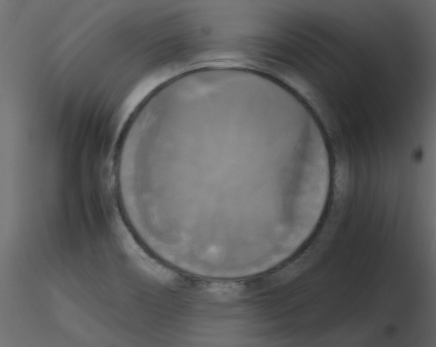 X0000115661466200912241348