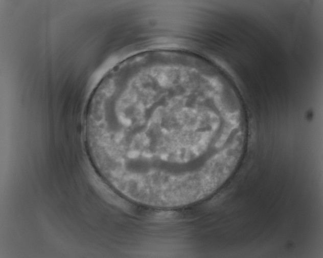 X0000115661467200912241348