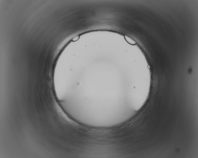 X0000115661468200912241348