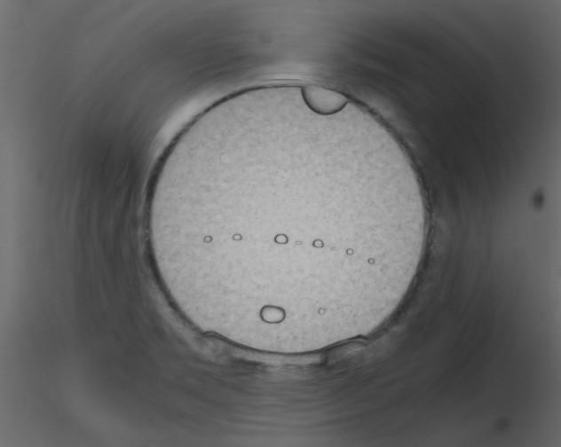 X0000115661469200912241348