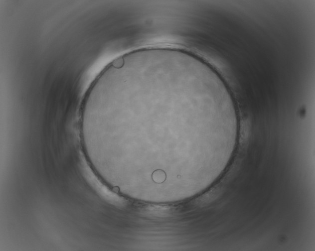 X0000115661470200912241348