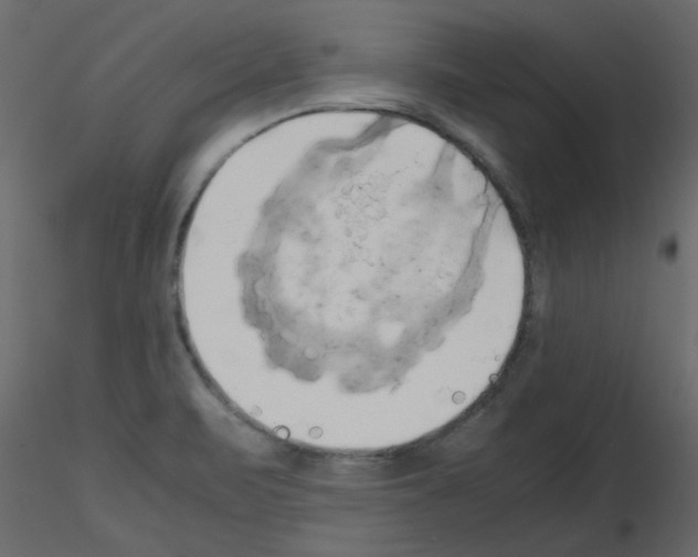 X0000115661471200912241348