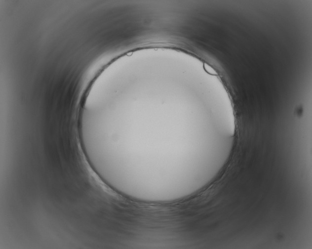 X0000115661472200912241348