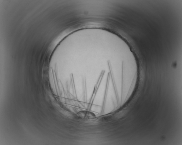 X0000115661473200912241348