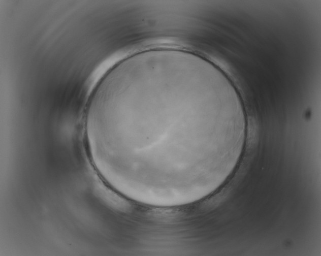 X0000115661474200912241348