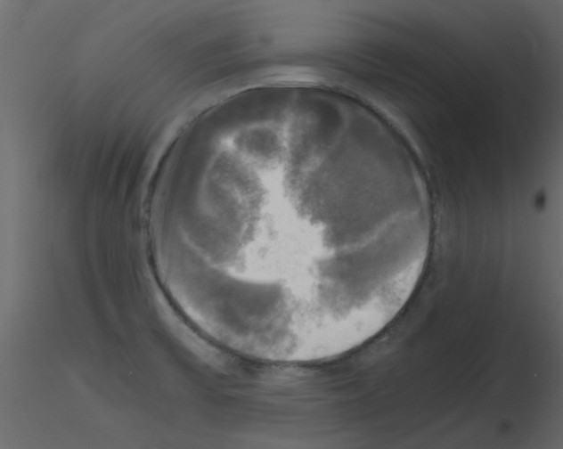 X0000115661475200912241348