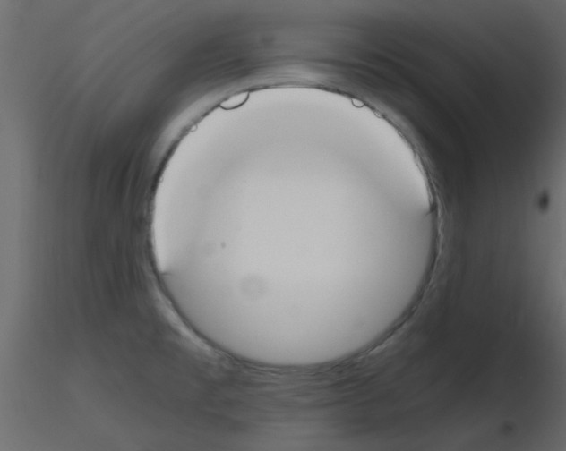 X0000115661477200912241348