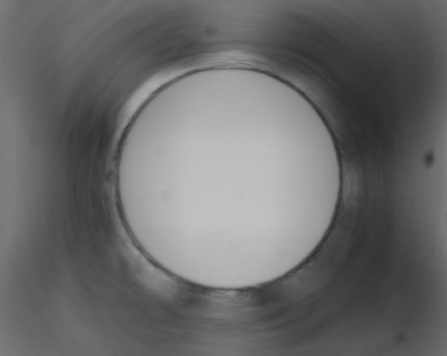 X0000115661478200912241348