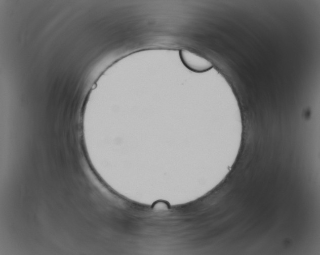 X0000115661479200912241348