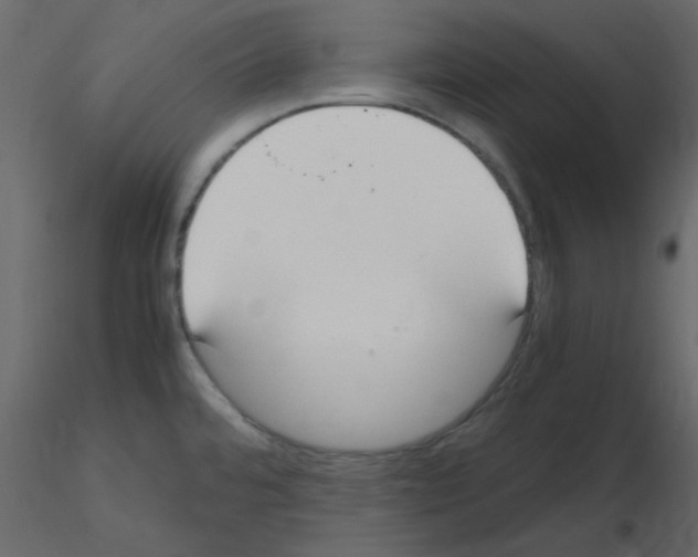 X0000115661480200912241348