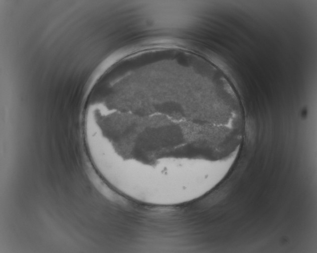 X0000115661482200912241348