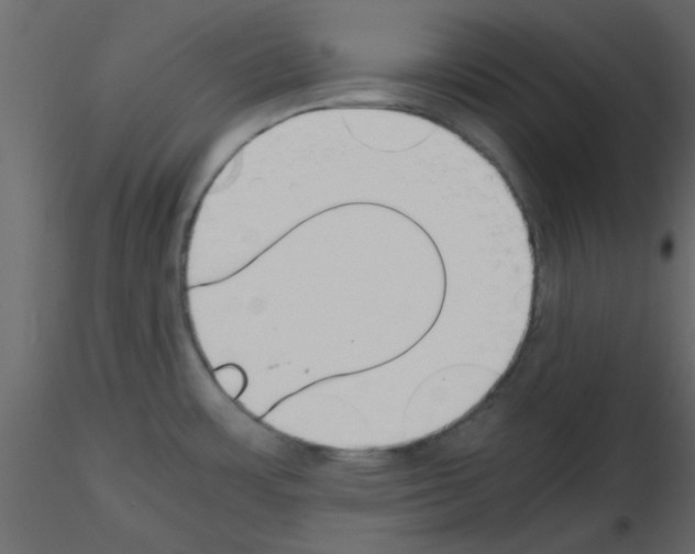 X0000115661483200912241348