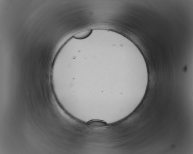 X0000115661484200912241348