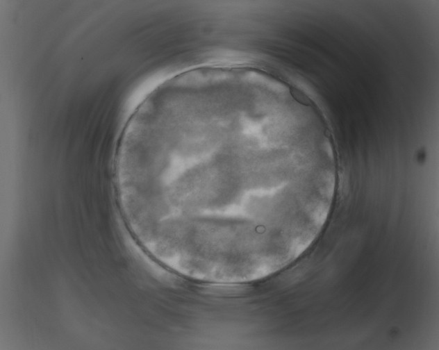 X0000115661487200912241348